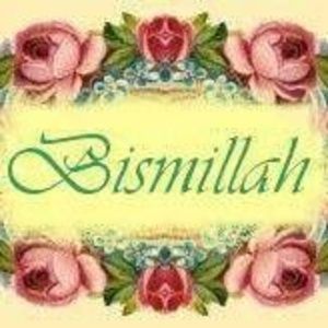 Meet your Posher, Amelia